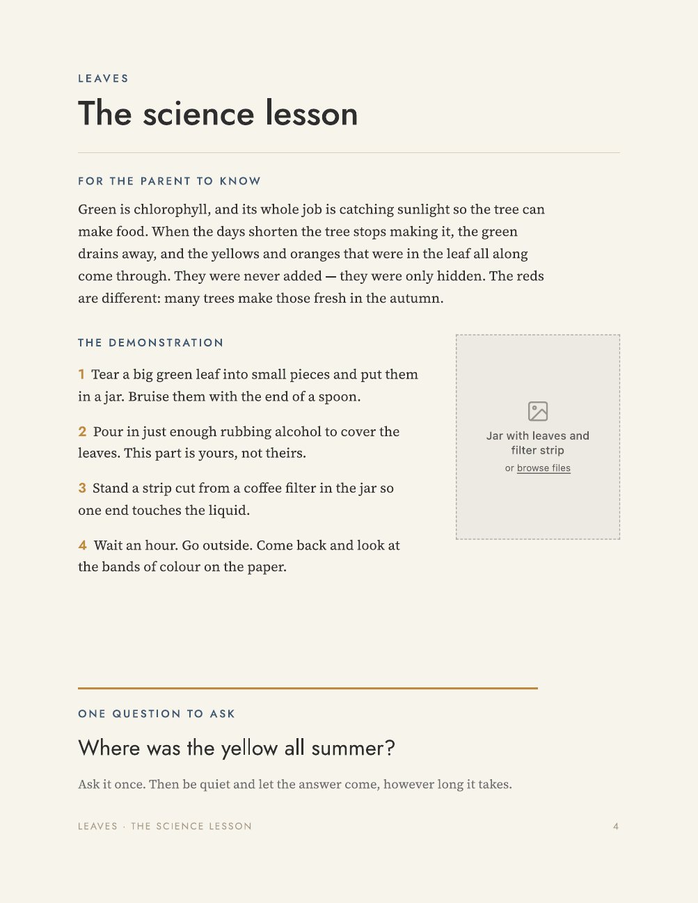 The science lesson page from the Leaves unit.