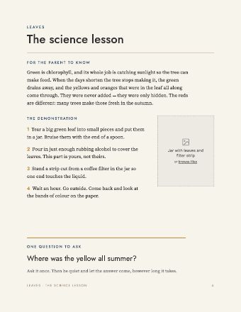 Page 4: The science lesson
