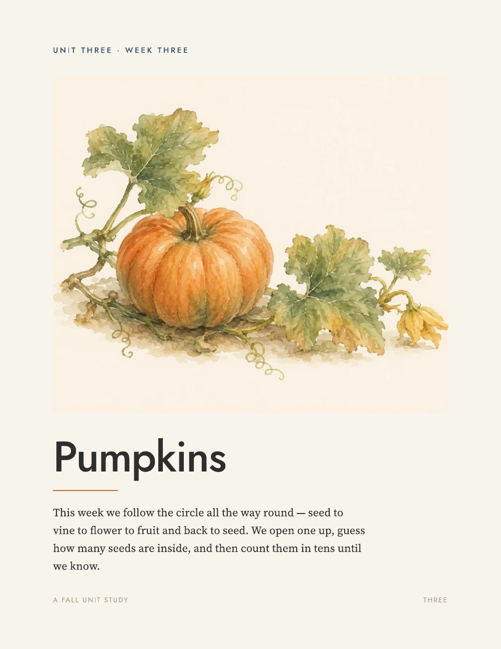 The cover of the Pumpkins unit.