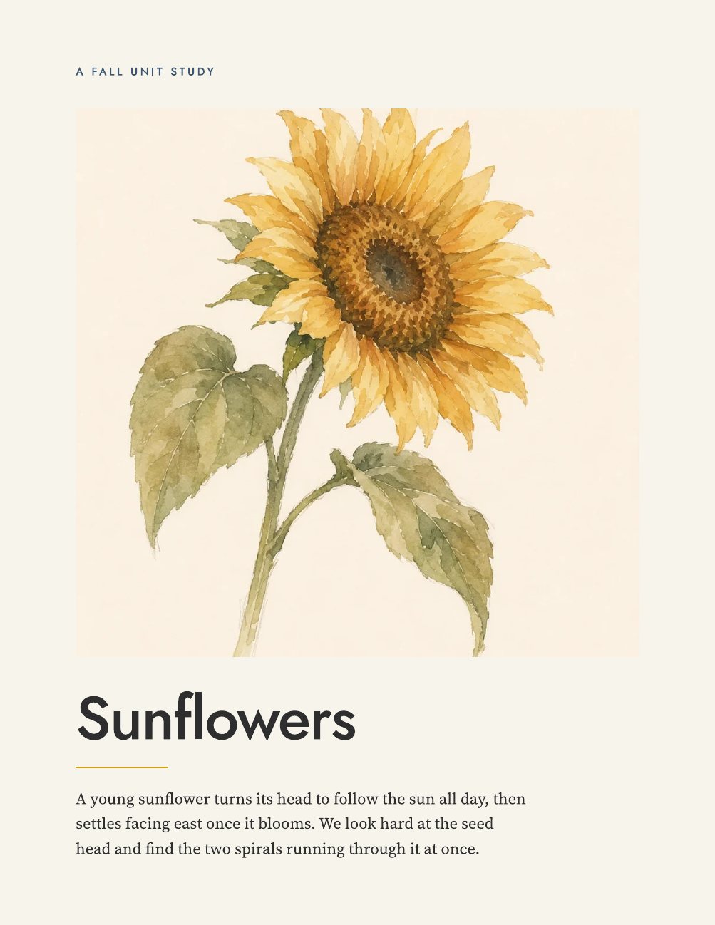 The cover of the Sunflowers unit.