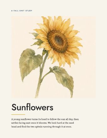 Page 1: The cover
