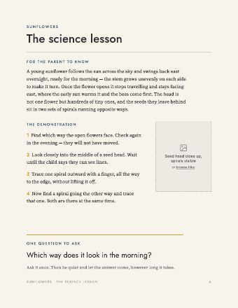 Page 4: The science lesson